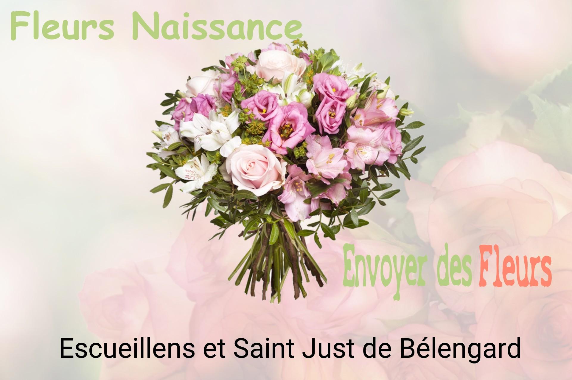 Bouquet de fleurs de naissance livré à Escueillens-et-Saint-Just-de-Bélengard